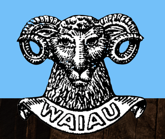 Waiau Rugby Club