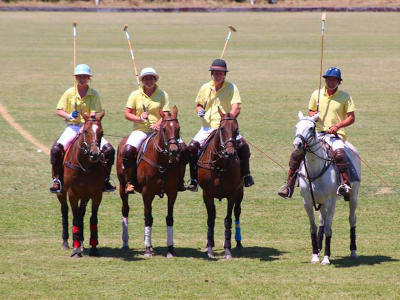 Amuri Polo Club