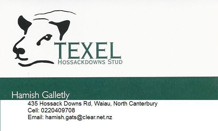 Texel HossackDowns Stud