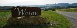 Waiau Domain Board