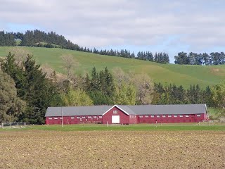 Highfield Woolshed